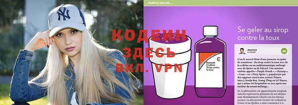 СК Бородино