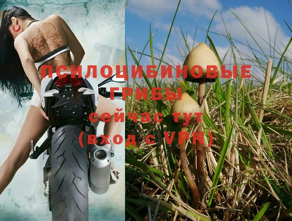стафф Бронницы